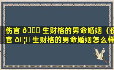 伤官 🐟 生财格的男命婚姻（伤官 🦁 生财格的男命婚姻怎么样）